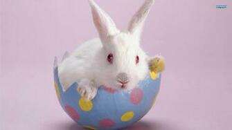 Pictures Sms Easter Quotes And Bunny