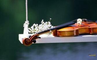 HD Wallpaper Of Violin High Resolution Background Guitar X