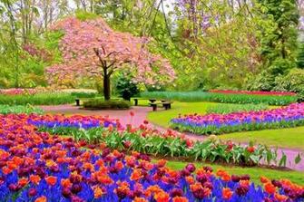 Spring Wallpaper The Wondrous Pics