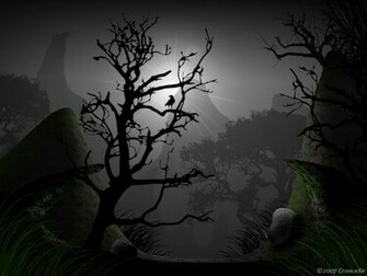 Black Forest Wallpaper Walltor