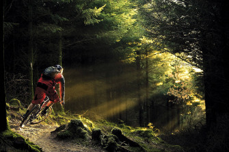 Mtb Rider Forest Sunlight Q0k9m6qqd5zag3s8 Wallpaper