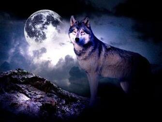 Wolf Moon Wallpaper HD In Animals Imageci