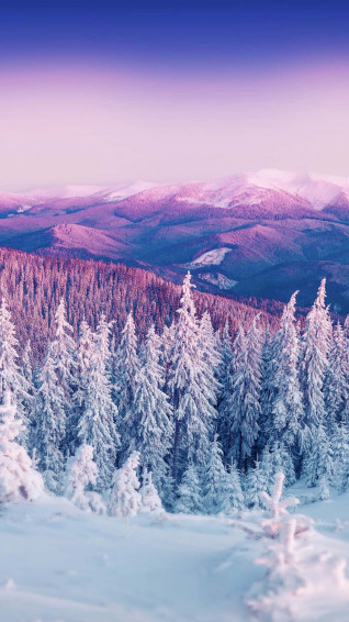 Let Nature Take The Lead And Explore Beauty Of Winter Season Wallpaper