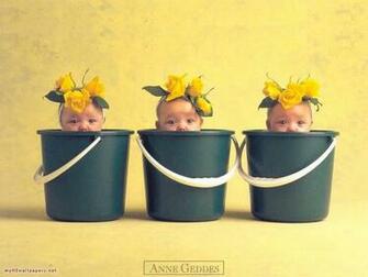 Anne Geddes Wallpaper Part Desktop HD