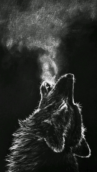 Cool Black Wolf Background Wallpaper