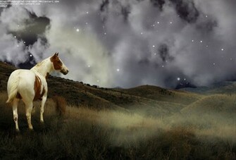 Paint Horse Manip By Hooves Fly
