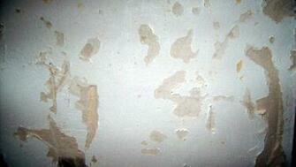 Wallpaper And Primer Doityourself Community Forums