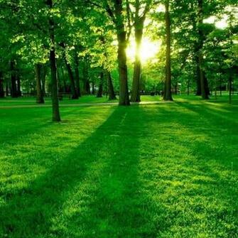 Most Popular Nature Background HD Full Size Beautiful