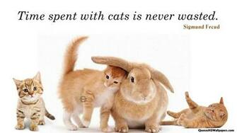 Image For Sigmund Freud Cats Time Quotes Image