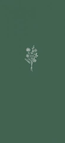 Green iPhone Minimalist Wallpaper Phone