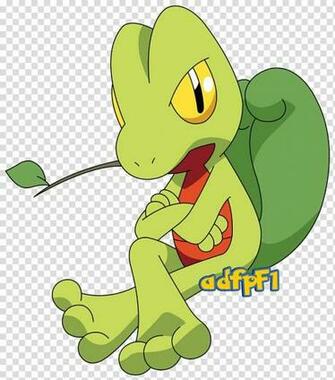 Pok Mon Ruby And Sapphire Treecko Mystery Dungeon Blue