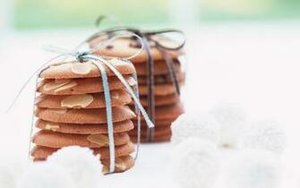 Biscuit Wallpaper Px HDwallsource
