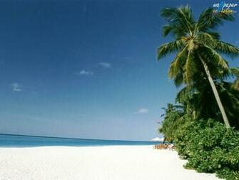 Beach Wallpaper Desktop Themes And Screensavers Flowers Birds