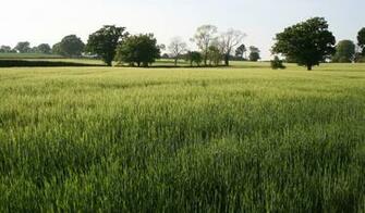 Netbook Wallpaper Landscape