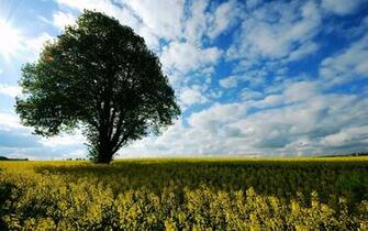 Best Wallpaper HD Nature 2k Wide Screen 1080p 4k