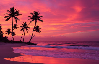 Pink Beach Sunset Wallpaper