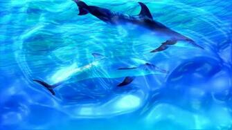 High Definition Wallpaper Photo Html