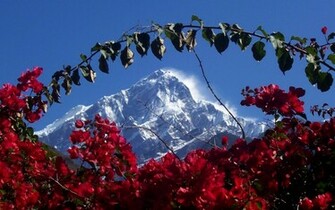 Himalaya Wallpaper