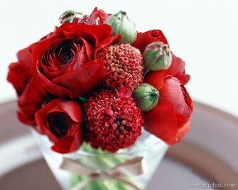 Red Rose Love Wallpaper E Entertainment
