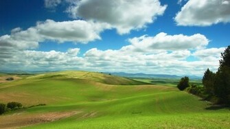 Nature Wallpaper New Grass