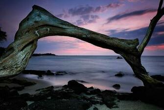 Paisagem Natureza Mar Madeira Pedras Ocean Live Wallpaper