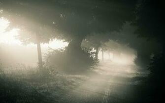 Fog Road Lights HD Wallpaper