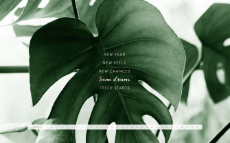 Plant Aesthetic Desktop Wallpaper