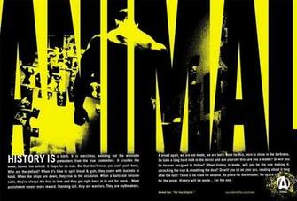 Animal Pak Wallpaper
