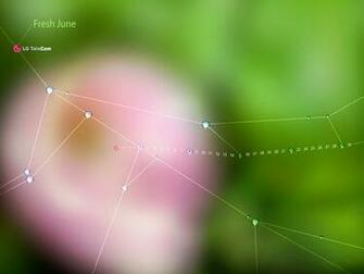 Lg Mobile Phone Ads Wallpaper Photo