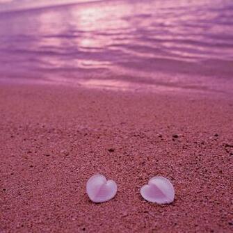 On Pink Beach iPad Air Wallpaper iPhone