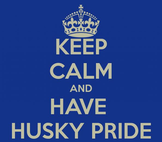 Uconn Huskies Logo Wallpaper Normal