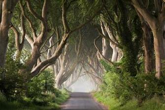 Dark Hedges Games Of Thrones By Przemys Aw Zdrojewski On 500px