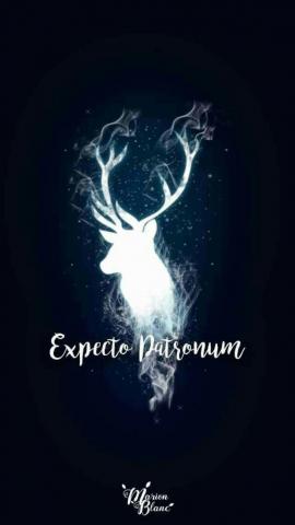 Harry Potter Ideas