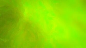 Chartreuse Background Image Stock