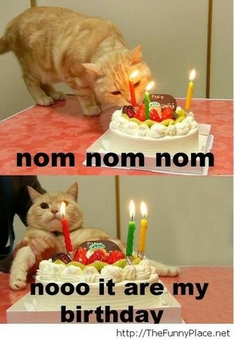 Funny BirtHDay Image Wishes Beautiful Happy Graphics Gif