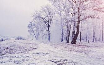Siberia Wallpaper