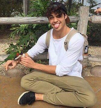 Best Noah Centineo Image