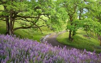 Natural Beautiful Scenery Wallpaper World