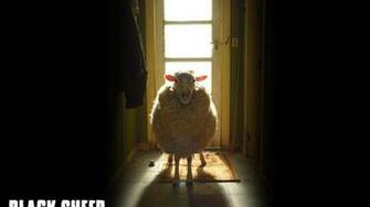 Black Sheep HD Wallpaper Hq Desktop