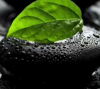 Priv Wallpaper Repository The Jpg