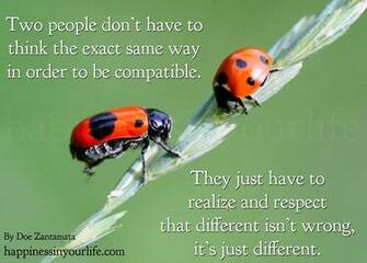 Quotes About Compatibility Pc Android iPhone And iPad Wallpaper
