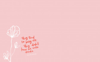 Pink And White Wallpaper