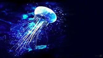 Top Safe Wallpaper Websites Active It Solutions Computer