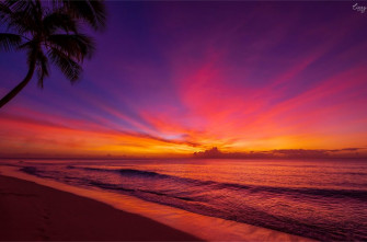 In The Sunsets Lizzy Davis