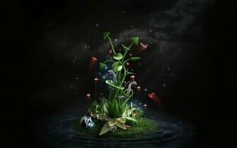 Superb Life Wallpaper Stock Photos