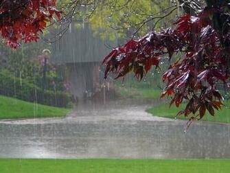 Rain Falling Wallpaper