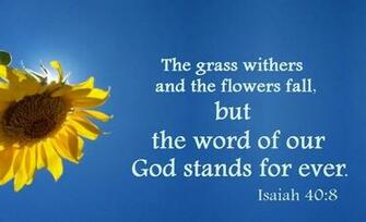 Christmas Cards Christian Bible Verse Wallpaper