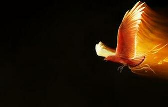 Wallpaper Minimalism Bird Fire Wings Background Fantasy