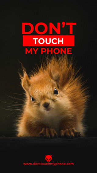 Wallpaper Don T Touch My Phone Cute Animals Dont