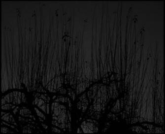 Black And Grey Wallpaper Background Theme Desktop